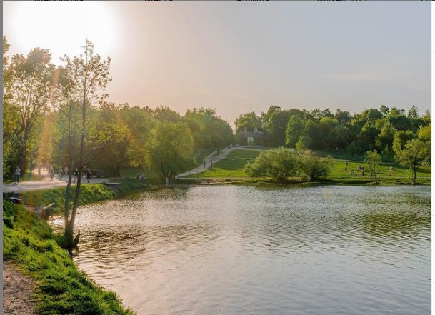 Инстаграм парка &#171;Кузьминки&#187; набрал 20 тысяч подписчиков