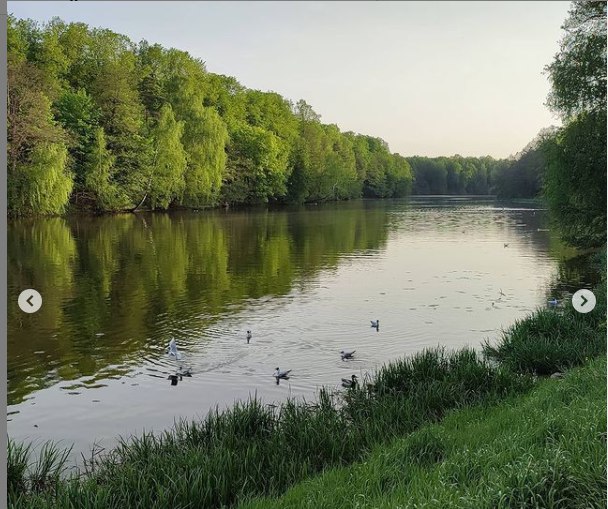 Кузьминский парк фото