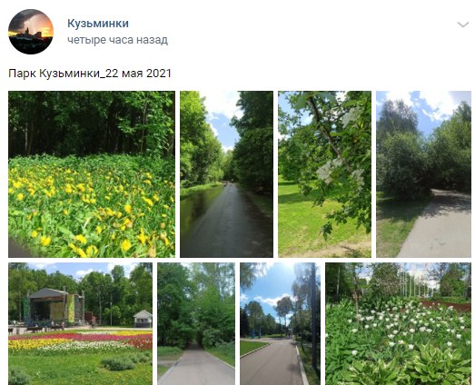 Фото дня: разноцветье и разнотравье Кузьминского парка